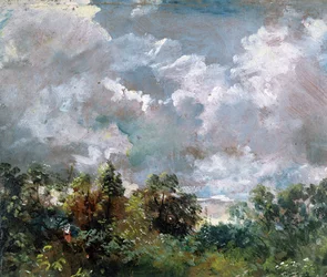 Studie van lucht en bomen